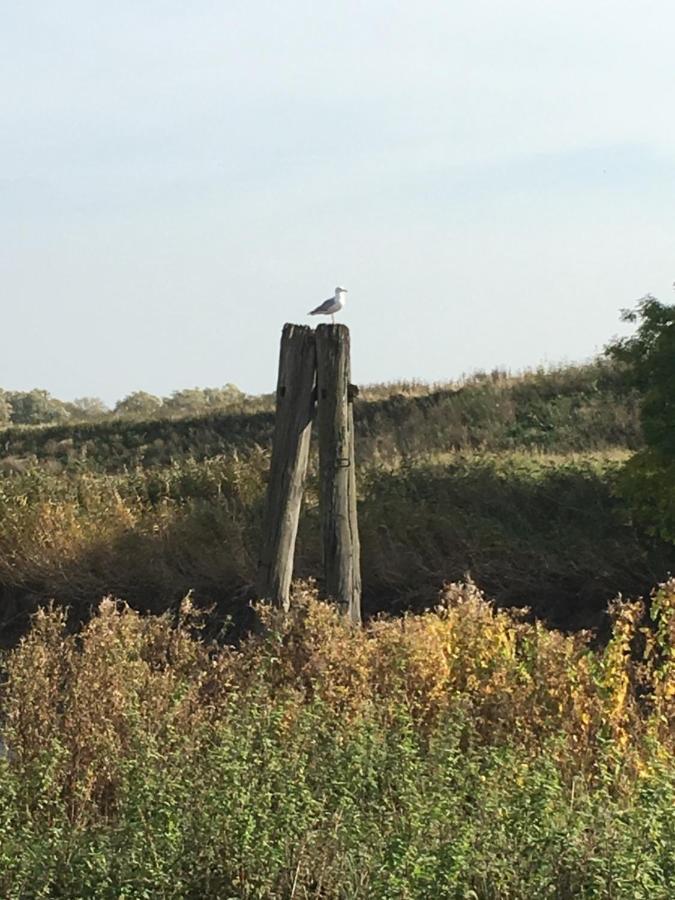 Ferienwohnung Deichapfel Im Alten Land Jork Buitenkant foto